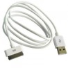 Cable USB Cargador y Datos para Ipad 3.0