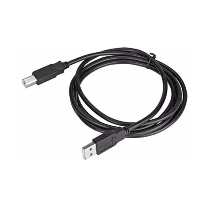 Cable de impresora tipo B, 10 pies